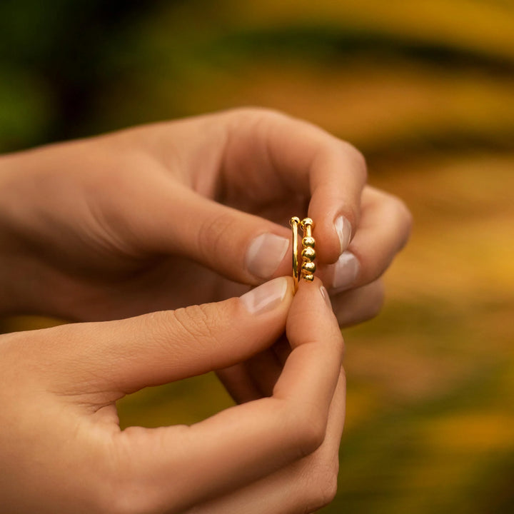 Anxiety Ring Adjustable